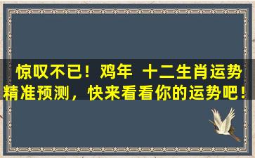 惊叹不已！鸡年  十二生肖运势精准预测，快来看看你的运势吧！